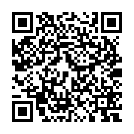 QR code for 51PZ697