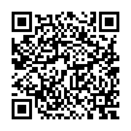 QR code for 51S995P