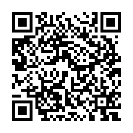 QR code for 51SF156