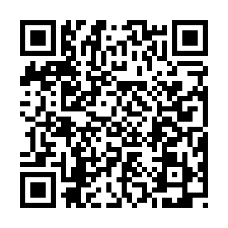QR code for 51SP993