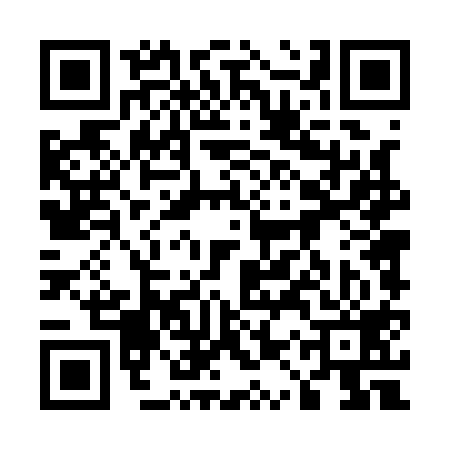 QR code for 51T119T