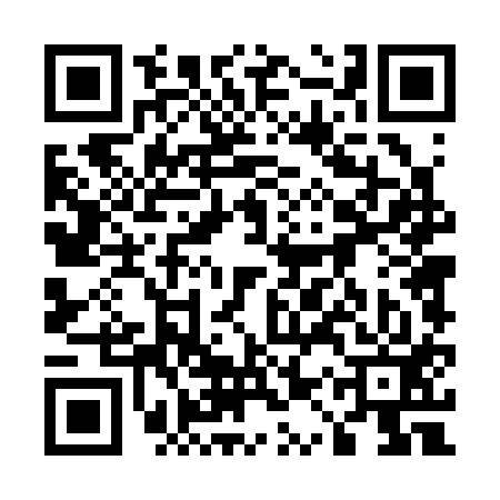 QR code for 51T313R