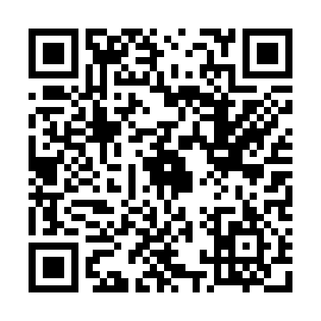 QR code for 51T317G