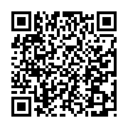 QR code for 51T333A