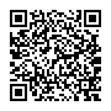 QR code for 51VP990