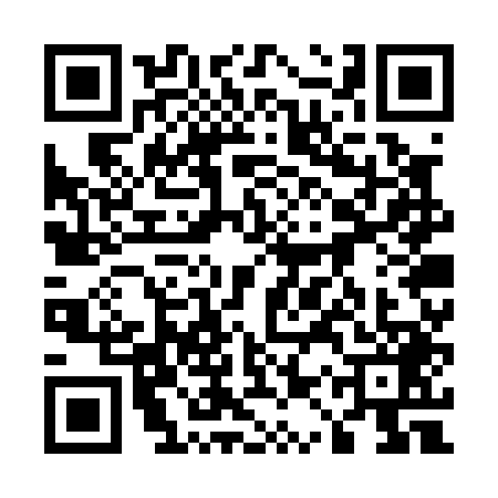 QR code for 51WP499
