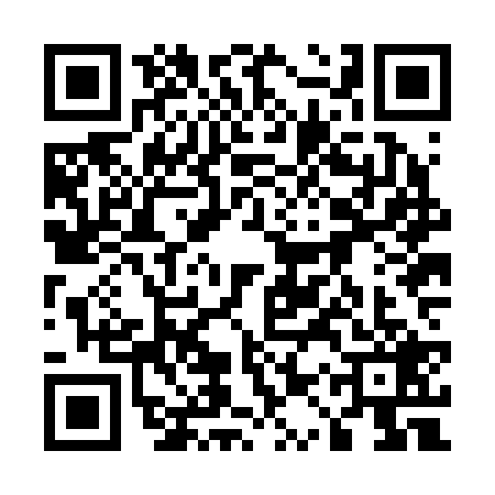 QR code for 51ZB295