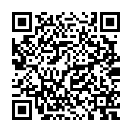 QR code for 51ZP163