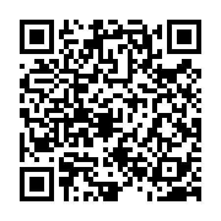 QR code for 52DT395