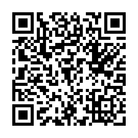 QR code for 52LG383