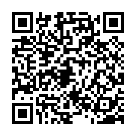 QR code for 52LP393