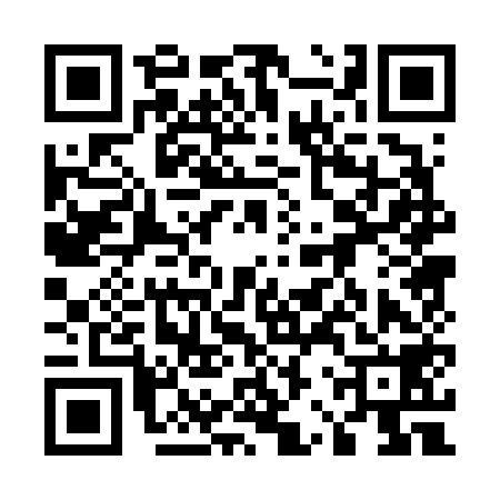 QR code for 52P658H