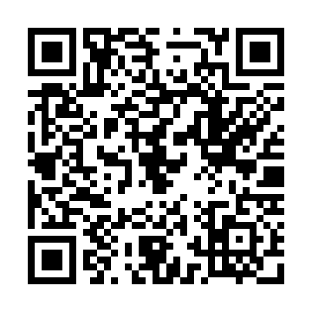 QR code for 52VS313