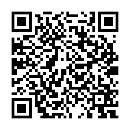 QR code for 53AS666