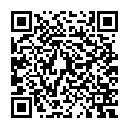 QR code for 53BG639