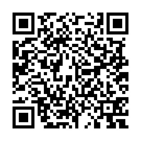 QR code for 53BM311