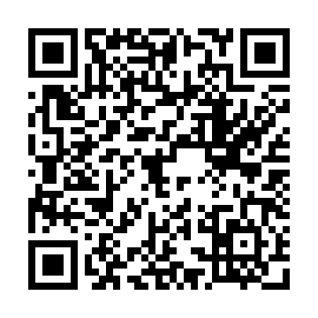 QR code for 53C3848