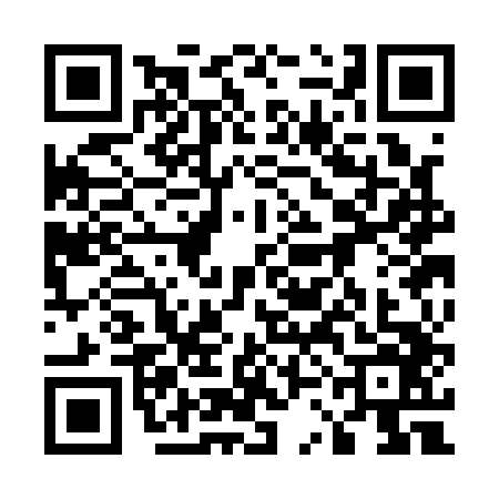 QR code for 53CA463