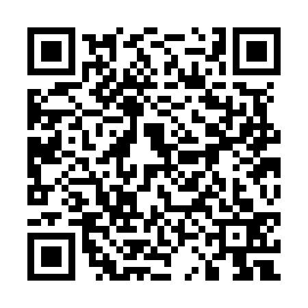 QR code for 53CN334