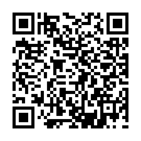 QR code for 53DS458