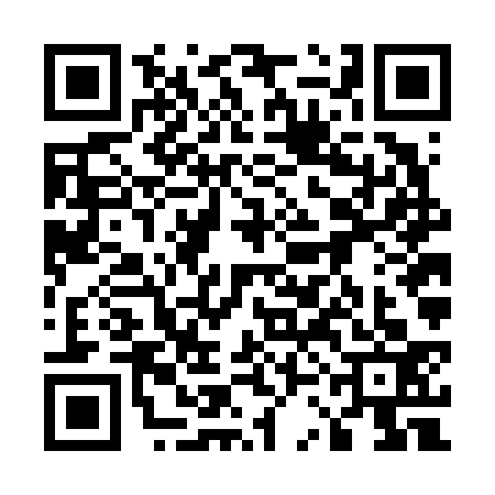 QR code for 53FF336