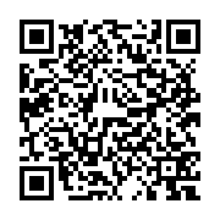 QR code for 53MJ738