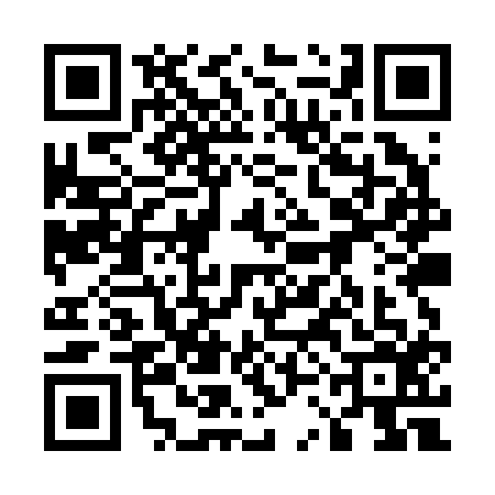 QR code for 53MR163