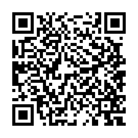 QR code for 53N067F