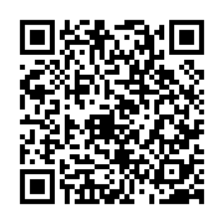 QR code for 53N078B