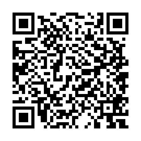 QR code for 53N509Z