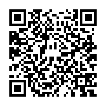 QR code for 53NG380