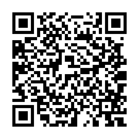 QR code for 53NP879
