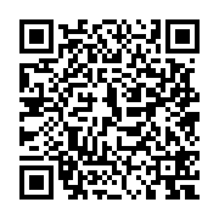 QR code for 53P528G