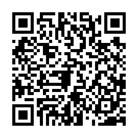 QR code for 53P6503