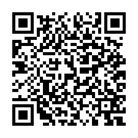 QR code for 53RDZ31