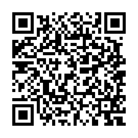 QR code for 53Z495D
