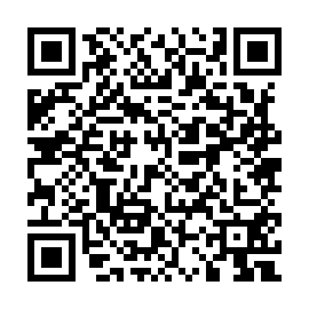 QR code for 53Z9503