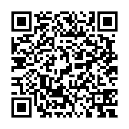 QR code for 53ZD381