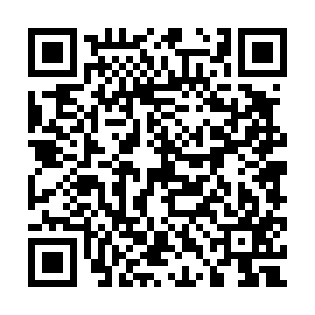 QR code for 54D417N