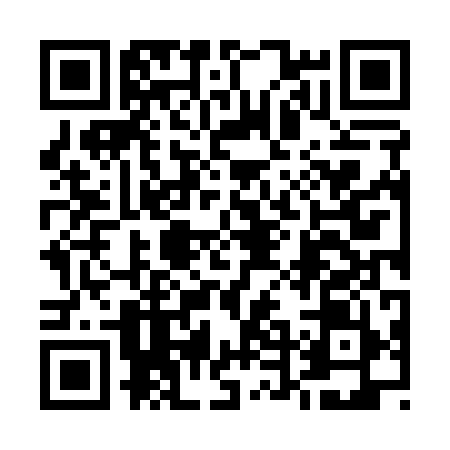 QR code for 54N199P