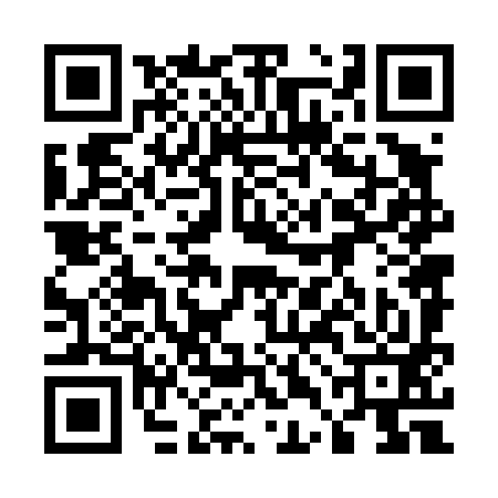 QR code for 54N493Z