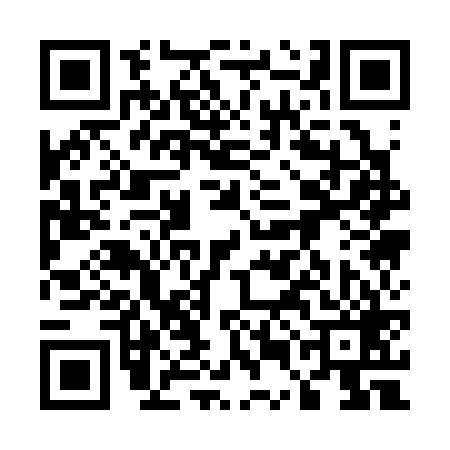 QR code for 55A369Z