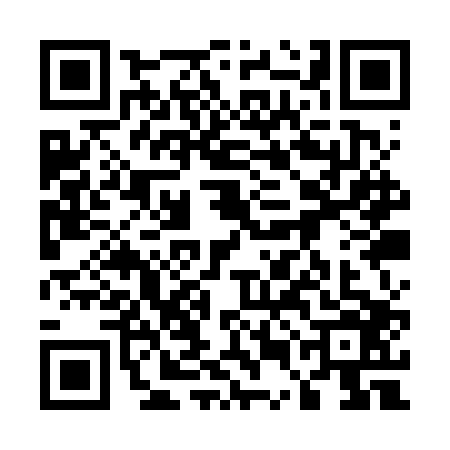 QR code for 55AVP65