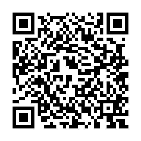 QR code for 55B001P
