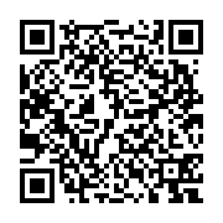 QR code for 55CF307