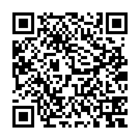 QR code for 55CS388