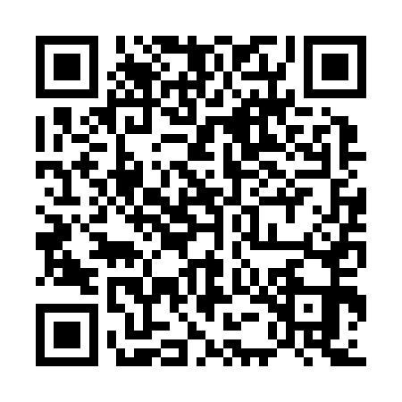 QR code for 55CZ511
