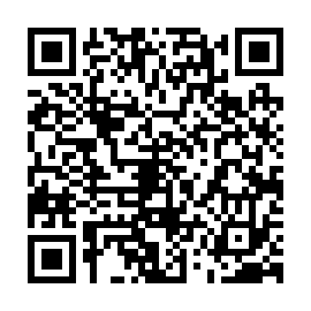 QR code for 55D233H