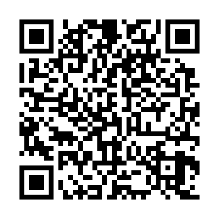 QR code for 55DC290