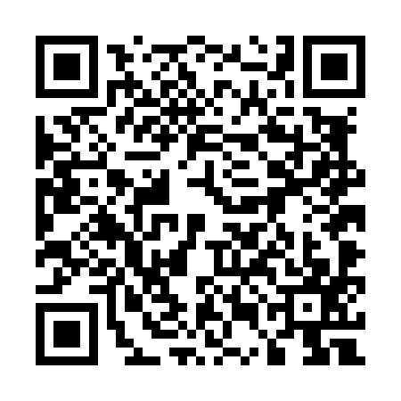 QR code for 55DL979